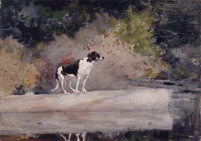 Hund auf einem Baumstamm, 1889 von Winslow Homer